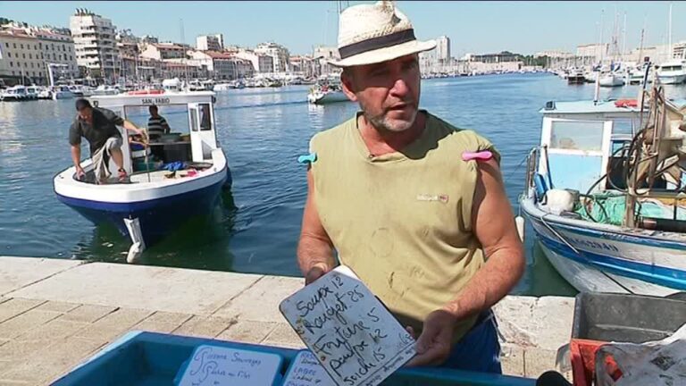 poissonniers_vieux_port_verbalises-00_00_08_15-3720087